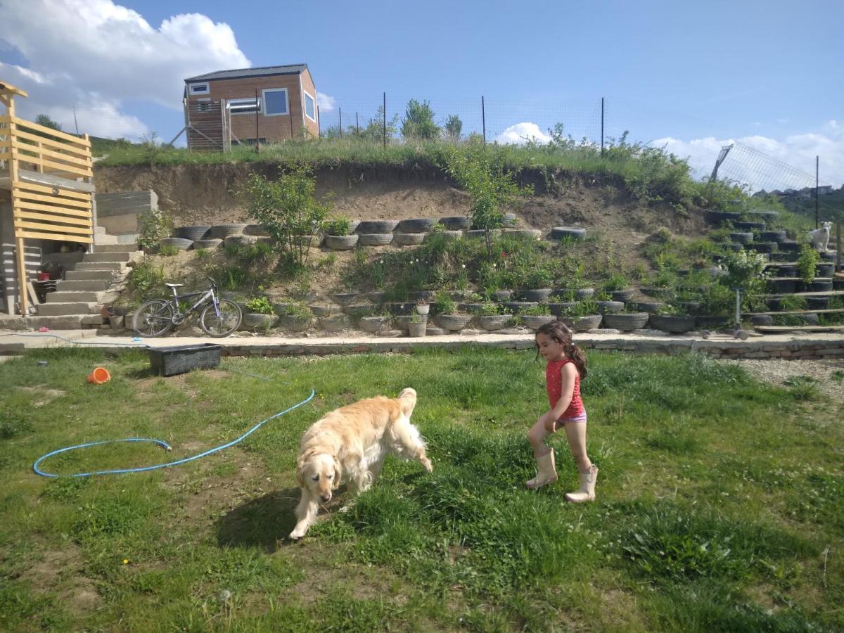 Tiny House Cluj With Jacuzzi * Sinnicoara
